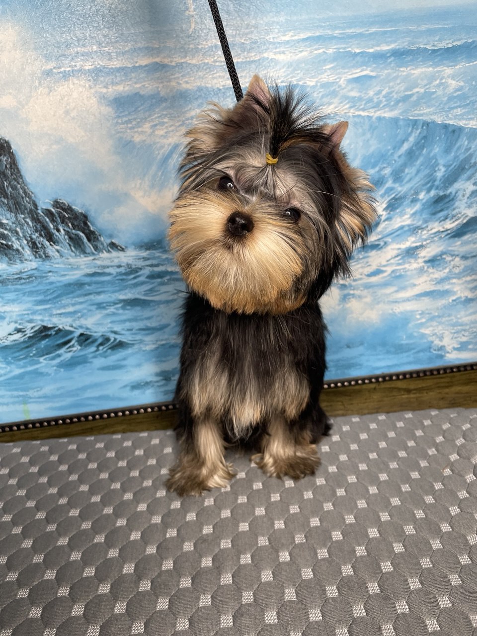 BYREDO S THOMAS ANDERS